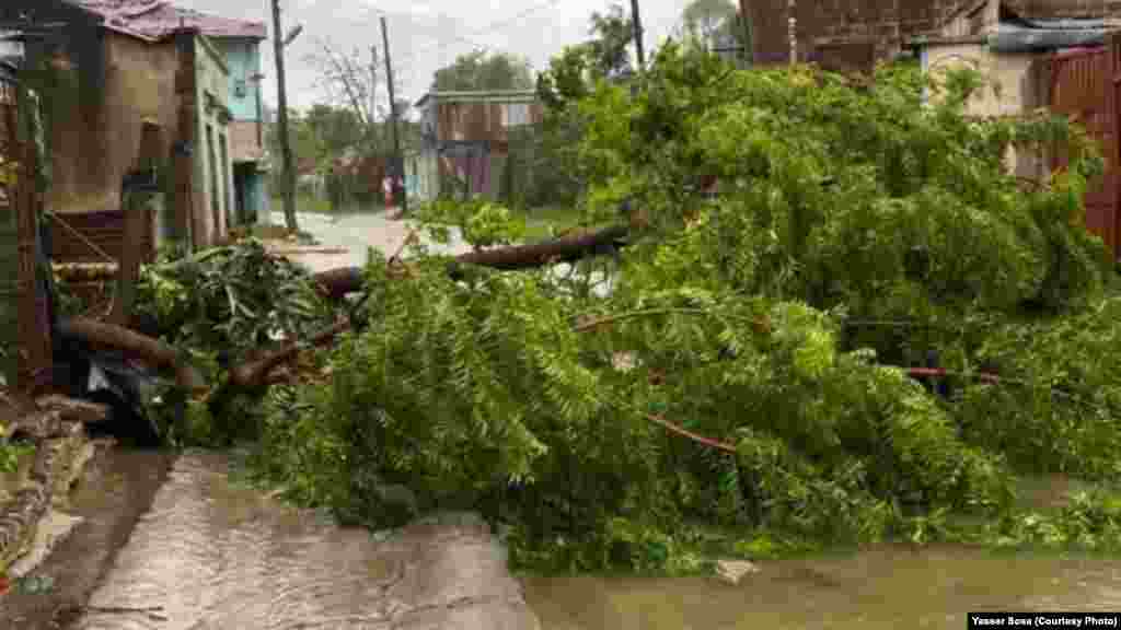Se reportan caída de árboles y del tendido eléctrico en la ciudad de Santiago de Cuba, entre otros daños.